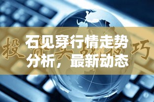 石见穿行情走势分析,最新动态与市场趋势揭秘