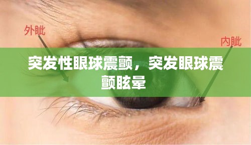 突发性眼球震颤,突发眼球震颤眩晕