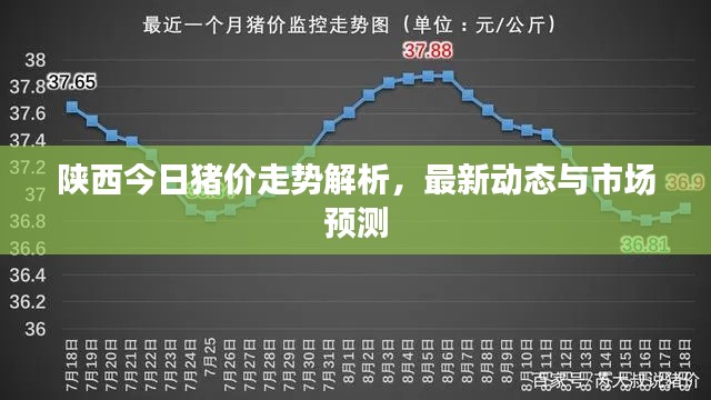 陕西今日猪价走势解析,最新动态与市场预测