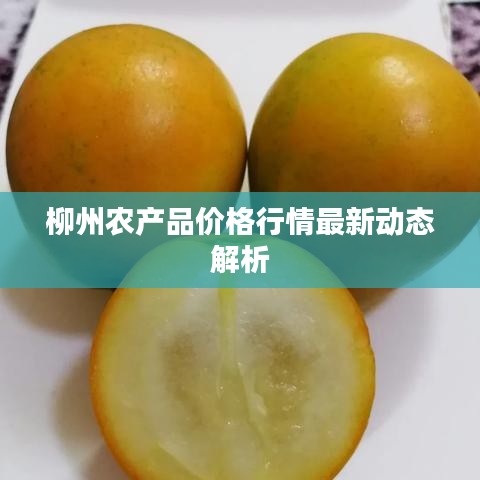 柳州农产品价格行情最新动态解析