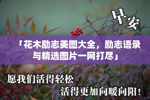 「花木励志美图大全，励志语录与精选图片一网打尽」
