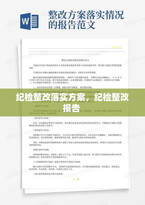 纪检整改落实方案,纪检整改报告