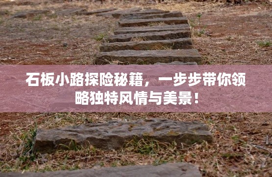 石板小路探险秘籍,一步步带你领略独特风情与美景!