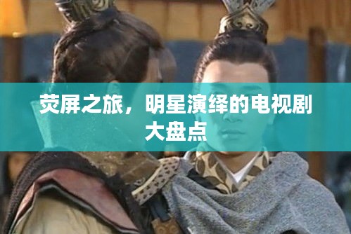 荧屏之旅,明星演绎的电视剧大盘点