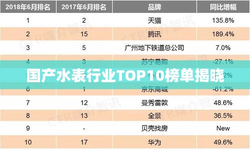国产水表行业TOP10榜单揭晓