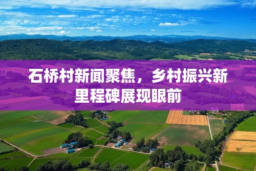 石桥村新闻聚焦,乡村振兴新里程碑展现眼前