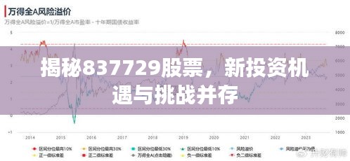 揭秘837729股票,新投资机遇与挑战并存