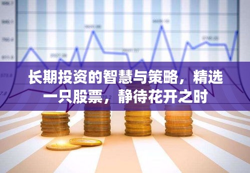 长期投资的智慧与策略,精选一只股票,静待花开之时