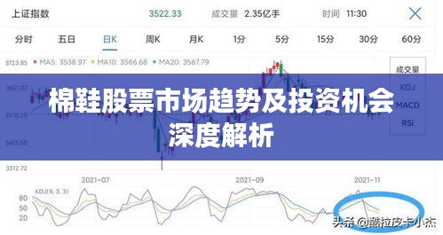 棉鞋股票市场趋势及投资机会深度解析