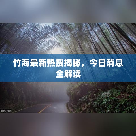 竹海最新热搜揭秘,今日消息全解读