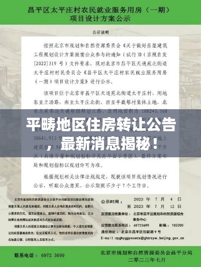 平畴地区住房转让公告，最新消息揭秘！
