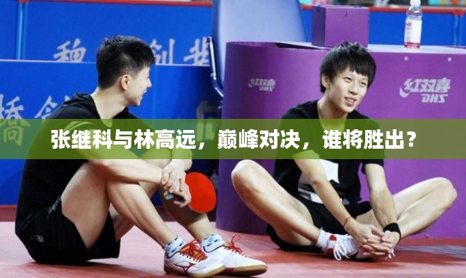 张继科与林高远,巅峰对决,谁将胜出?