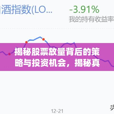 揭秘股票放量背后的策略与投资机会,揭秘真相,不容错过!