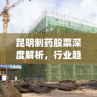 昆明制药股票深度解析,行业趋势、公司概况与投资前景大揭秘