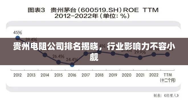 贵州电阻公司排名揭晓,行业影响力不容小觑