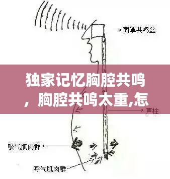 独家记忆胸腔共鸣,胸腔共鸣太重,怎么去掉