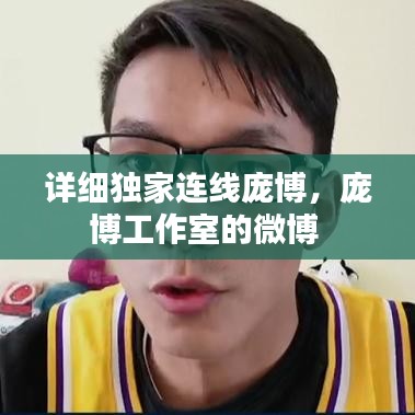 详细独家连线庞博，庞博工作室的微博 