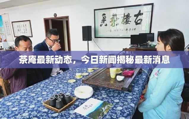 茶庵最新动态，今日新闻揭秘最新消息