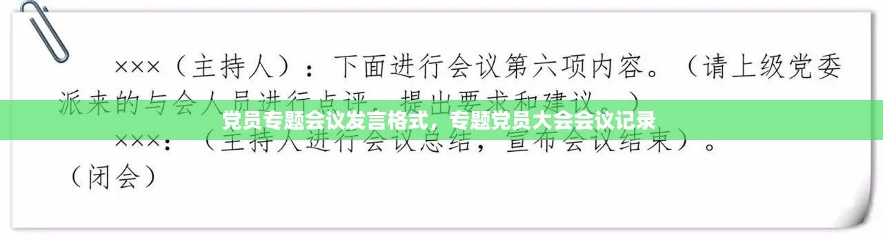 党员专题会议发言格式,专题党员大会会议记录