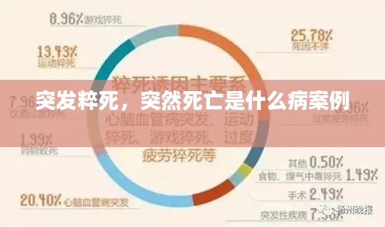 突发粹死,突然死亡是什么病案例