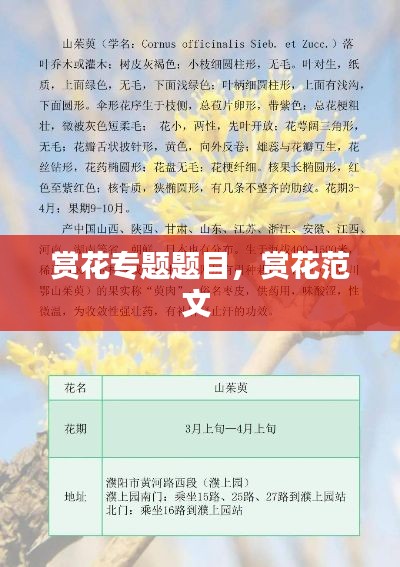 赏花专题题目,赏花范文