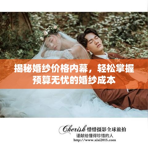 揭秘婚纱价格内幕,轻松掌握预算无忧的婚纱成本