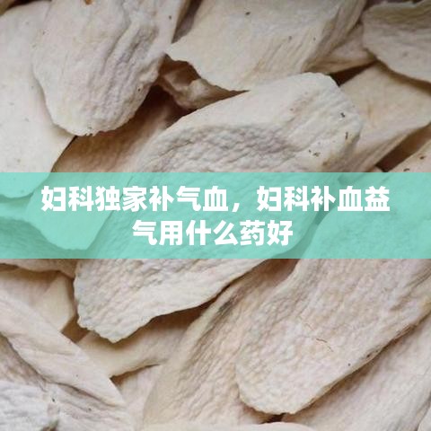 妇科独家补气血,妇科补血益气用什么药好