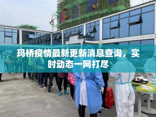 玛桥疫情最新更新消息查询,实时动态一网打尽