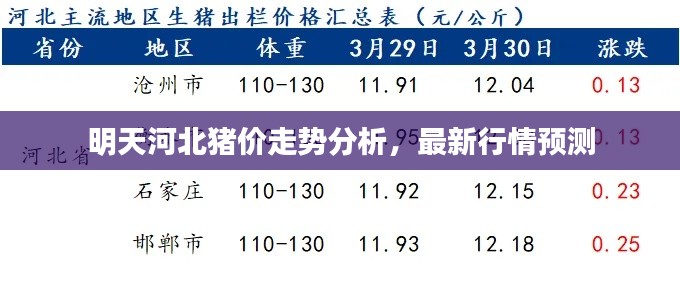 明天河北猪价走势分析,最新行情预测
