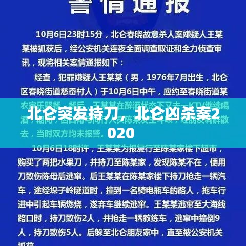 北仑突发持刀,北仑凶杀案2020