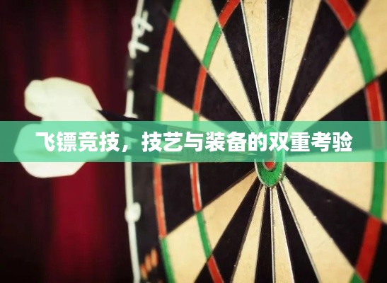飞镖竞技，技艺与装备的双重考验