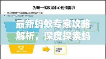 最新蚂蚁专家攻略解析,深度探索蚂蚁生态与高效利用之道