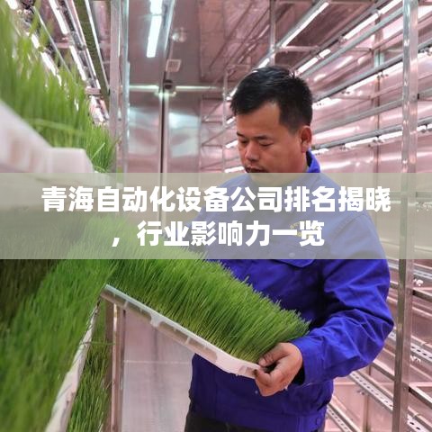 青海自动化设备公司排名揭晓,行业影响力一览