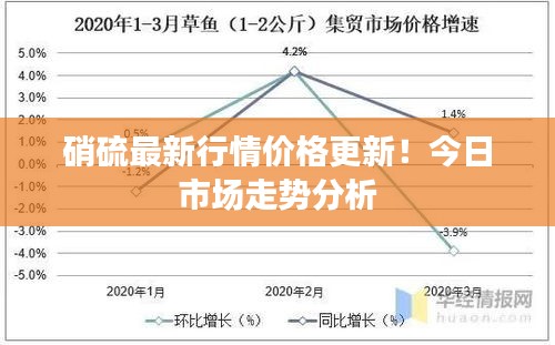 硝硫最新行情价格更新!今日市场走势分析