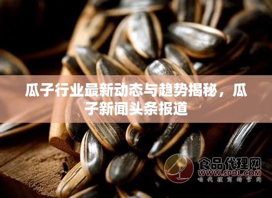 瓜子行业最新动态与趋势揭秘,瓜子新闻头条报道