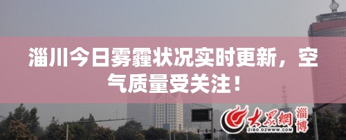 粗枝大叶 第2页